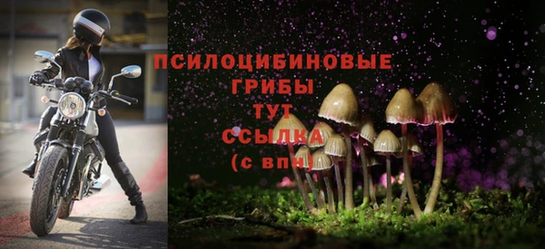 синтетический гашиш Козельск