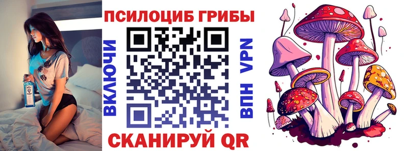 Псилоцибиновые грибы Psilocybe  Купить закладки  Ирбит 